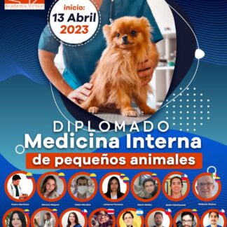 Diplomado en Medicina Interna de Pequeños Animales