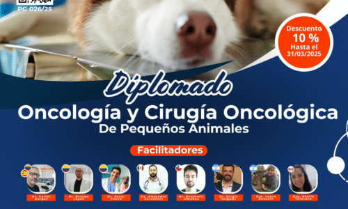 Diplomado en Oncología y Cirugía Oncológica 2025