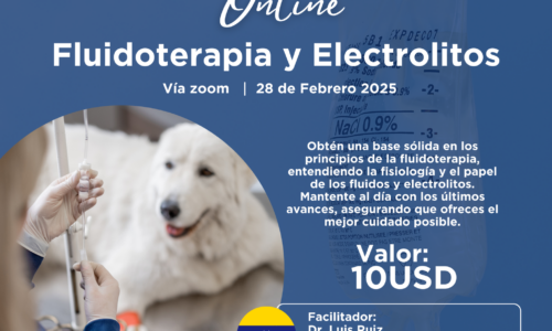 Workshop Fluidoterapia y Electrolitos 2025