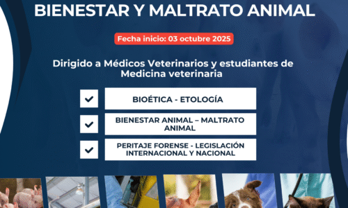 Diplomado en Peritaje Veterinario en Bienestar y Maltrato Animal 2025