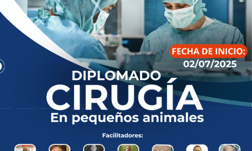 Diplomado en Cirugía de Pequeños Animales 2025