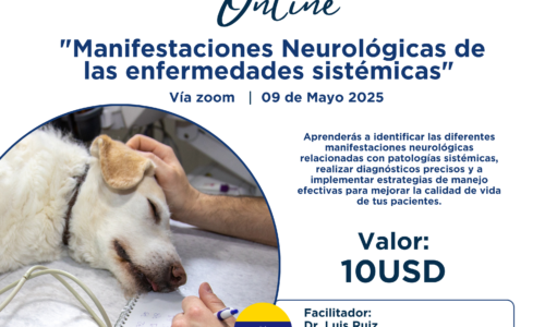 Workshop Manifestaciones Neurológicas de las Enfermedades Sistémicas 2025