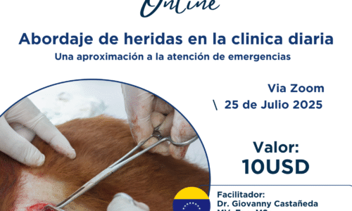 Workshop Abordaje de Heridas en la Clínica Diaria