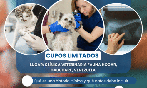 Curso de nivelación veterinaria 2025